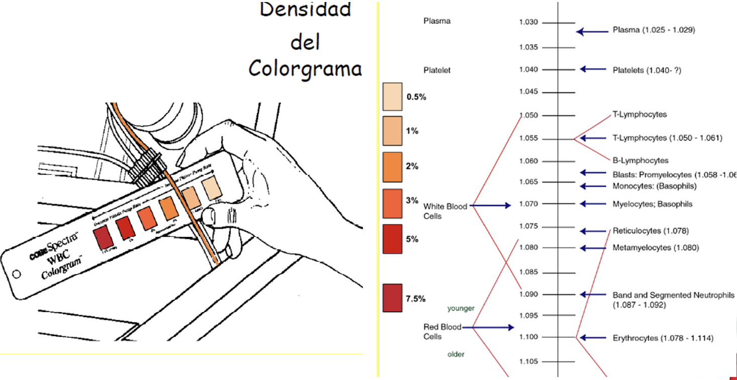 Densidad del colorgrama y gradiente de interfase — Optia Spectra Kit IDL