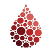 YoCell Lab